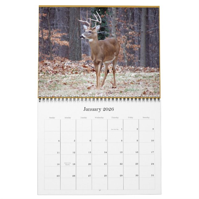 rSEANd - Nature Calendar (Jan 2026)