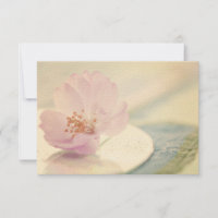 RSVP Delicate Soft Pink Cherry Blossom Flower