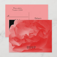 RSVP, Elegant Coral Pink Rose Floral 