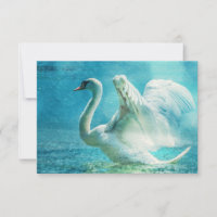 RSVP Magical Swan During a Summer Shower
