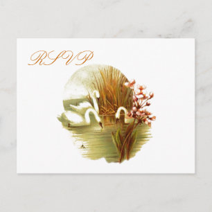 RSVP Postcard
