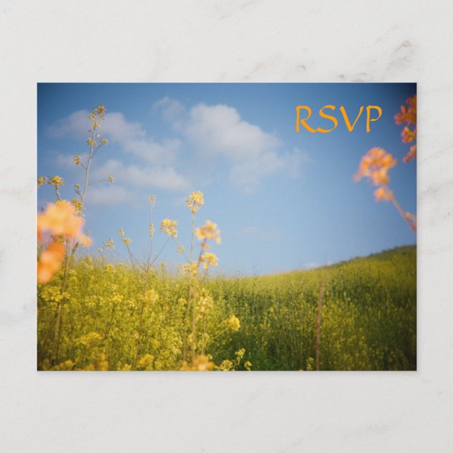RSVP Postcard Flower Field (Front)