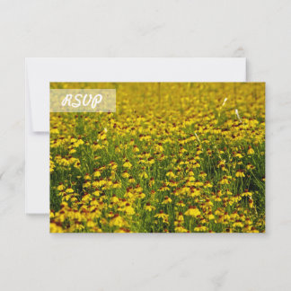 RSVP Sunflower Photo on Black Cards