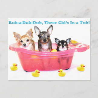Rub a Dub Dub Three Chis in a Tub Postcard