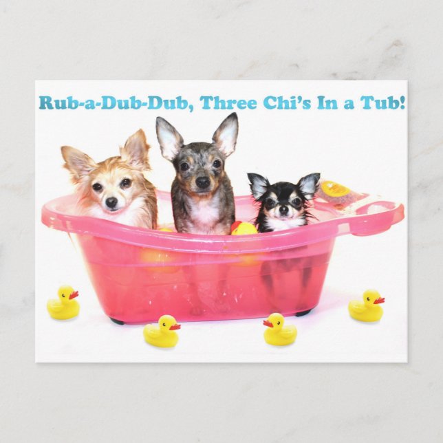 Rub a Dub Dub Three Chis in a Tub Postcard (Front)