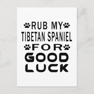 Rub My Tibetan Spaniel For Good Luck Postcard