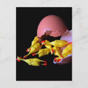 Rubber Chicken Hatchling Postcard
