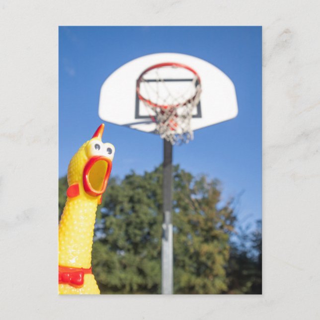Rubber Chicken playing basketball Postcard (Front)