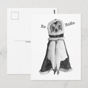 Rubber chicken Santa Postcard