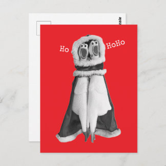 Rubber chicken Santa Postcard