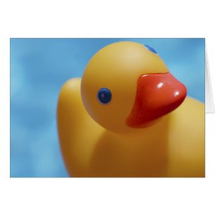 Rubber Duck Close-Up