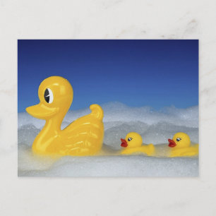 Rubber Duck Family Postcard