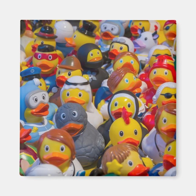 Rubber Ducks in Costume Magnet (Front)