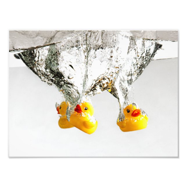 Rubber Ducks Photo Print (Front)