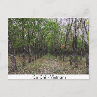 Rubber Forest - Cu Chi - Vietnam Postcard