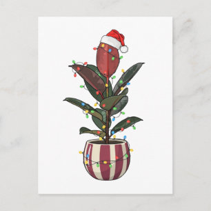 Rubber Plant Ficus Santa Hat Christmas Lights Postcard