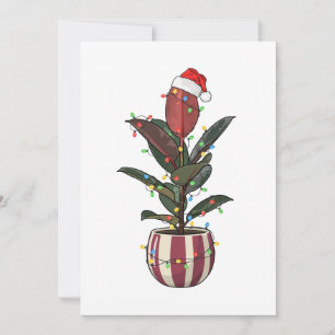 Rubber Plant Ficus Santa Hat Christmas Lights Thank You Card