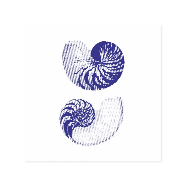 RUBBER STAMP : VINTAGE GREAT NAUTILUS ILLUSTRATION (Design)