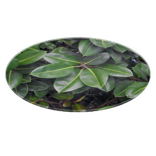 Rubber Tree Closeup Cutting Board