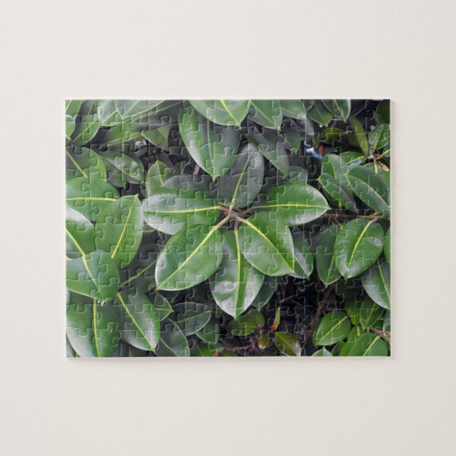 Rubber Tree Closeup Jigsaw Puzzle (Horizontal)