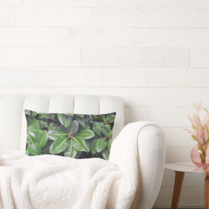 Rubber Tree Closeup Lumbar Cushion