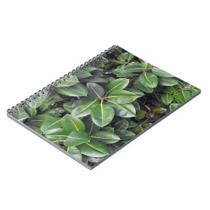 Rubber Tree Closeup Spiral Notebook