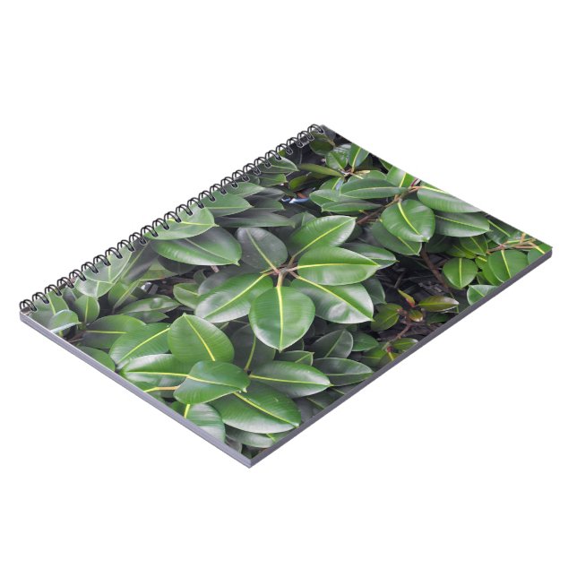 Rubber Tree Closeup Spiral Notebook (Left Side)