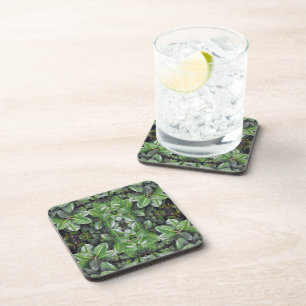 Rubber Tree Leaf Pattern Coaster