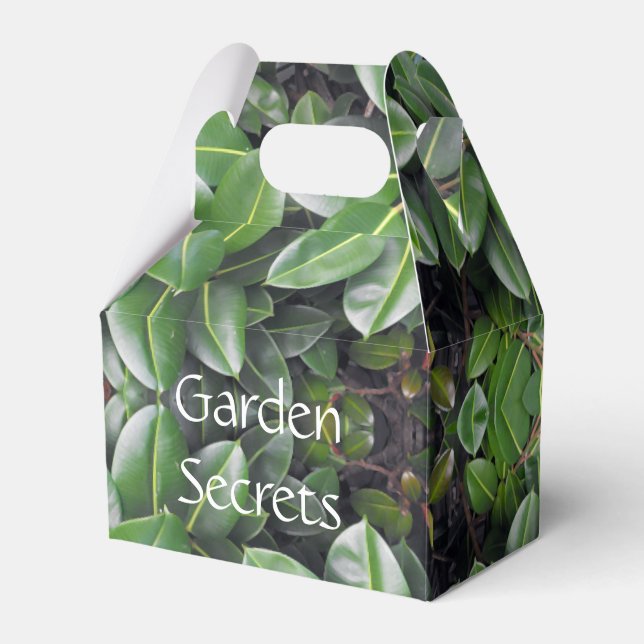 Rubber Tree Leaf Pattern Favour Box (Front Side)