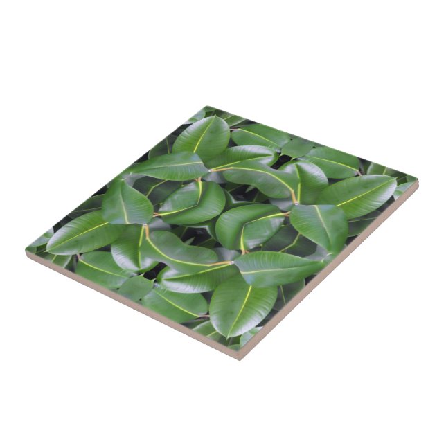Rubber Tree Pattern Tile (Side)