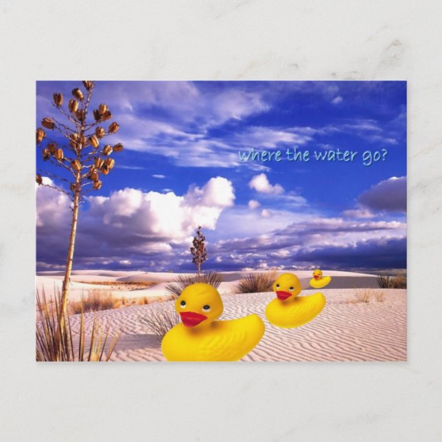 Rubberduck Formation Postcard (Front)