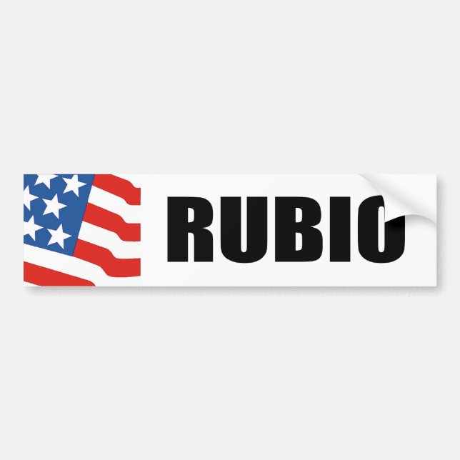 RUBIO 2010 BUMPER STICKER (Front)
