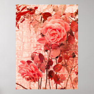 Rubious Roses Poster