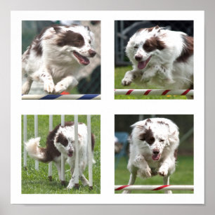 Ruby Agility Poster
