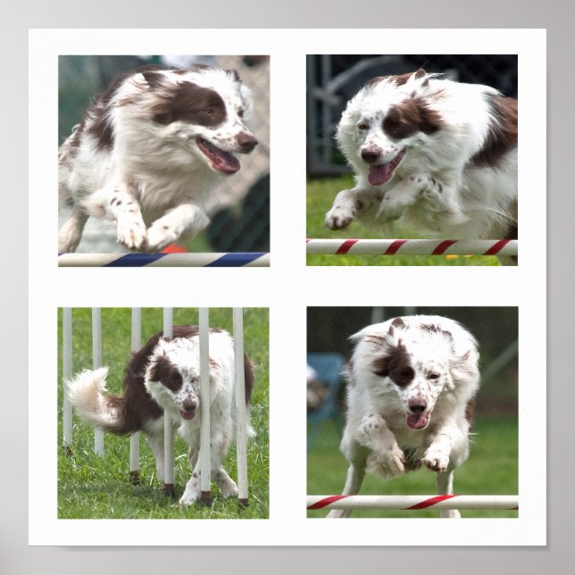 Ruby Agility Poster (Front)