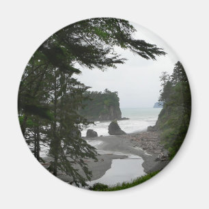 Ruby Beach Coastline Magnet
