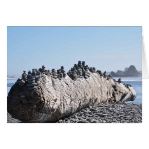 Ruby Beach on the Olympic Peninsula, WA
