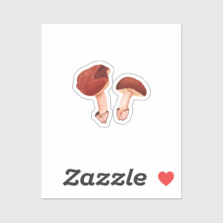 Ruby Bolete (Hortiboletus rubellus)