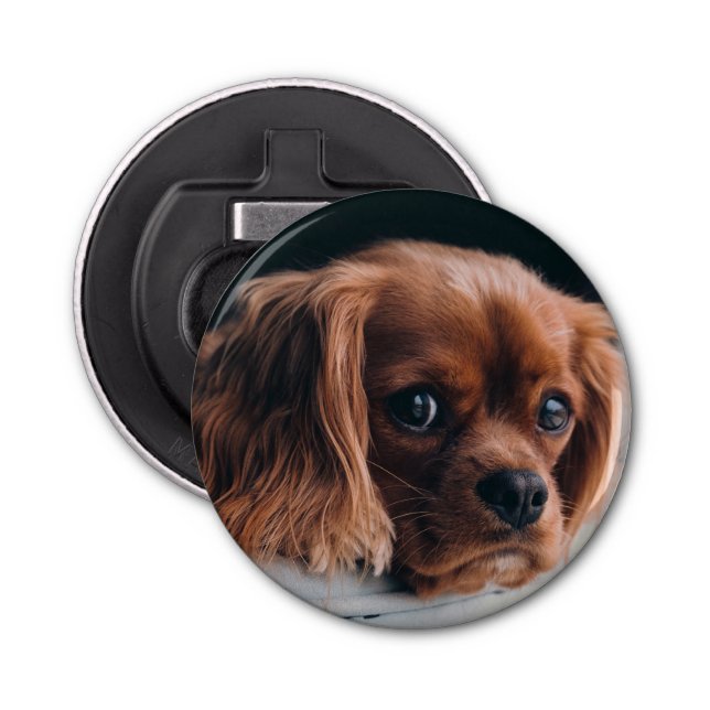 Ruby Cavalier King Charles Spaniel Dog Bottle Opener (Front)