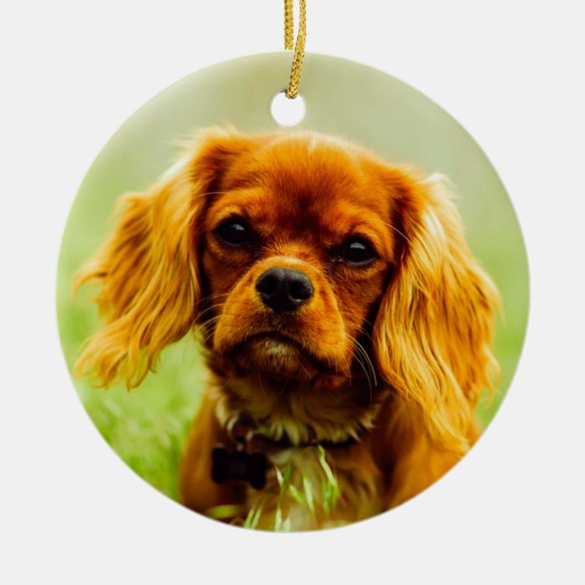 Ruby Cavalier King Charles Spaniel Dog Ceramic Tree Decoration (Front)