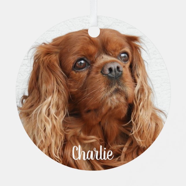 Ruby Cavalier King Charles Spaniel Dog Metal Tree Decoration (Back)