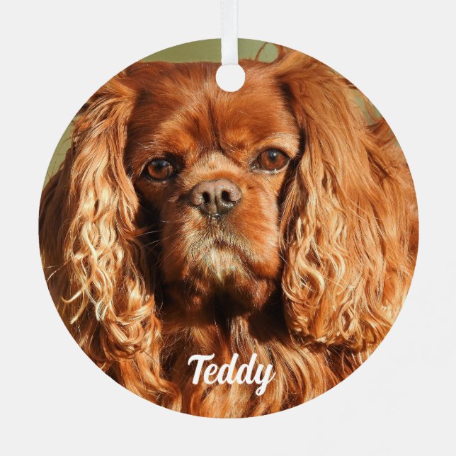Ruby Cavalier King Charles Spaniel Dog Metal Tree Decoration (Back)