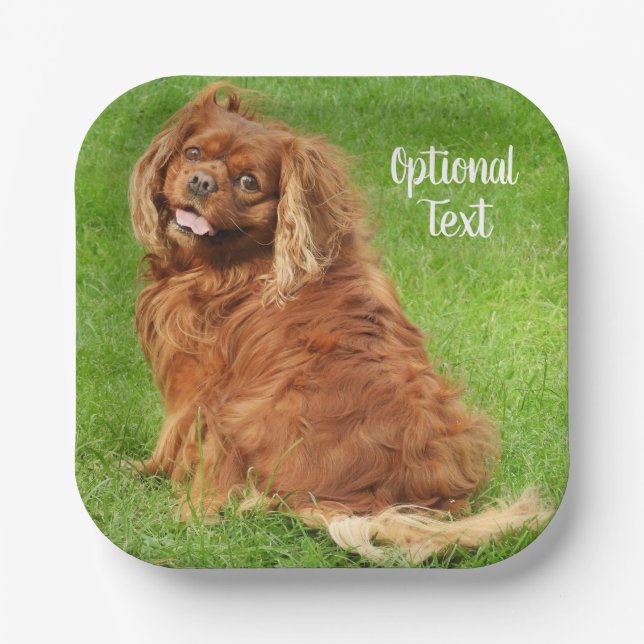 Ruby Cavalier King Charles Spaniel Dog Paper Plate (Front)