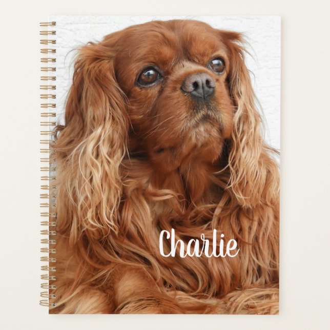 Ruby Cavalier King Charles Spaniel Dog Planner (Front)