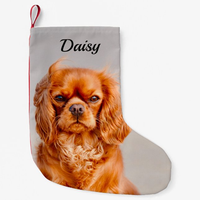 Ruby Cavalier King Charles Spaniel Dog Small Christmas Stocking (Front)