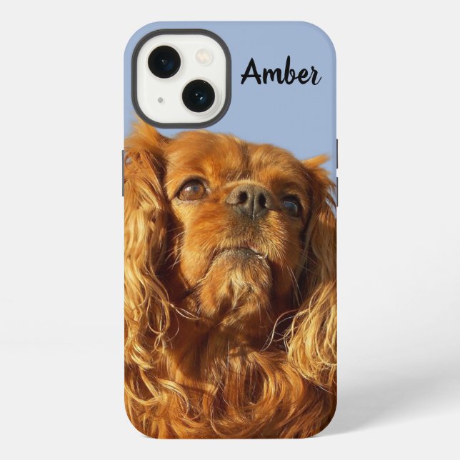 Ruby Cavalier King Charles Spaniel Puppy Dog Blue iPhone Case (Back)