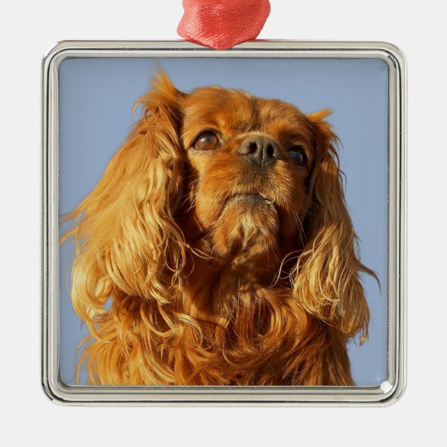 Ruby Cavalier King Charles Spaniel Puppy Dog Metal Tree Decoration (Front)