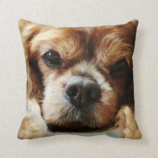Ruby Cavalier Pillow 16x16