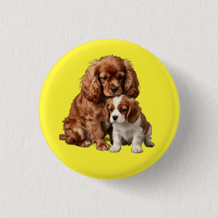 Ruby Cavalier Spaniel and her Blenheim puppy 3 Cm Round Badge
