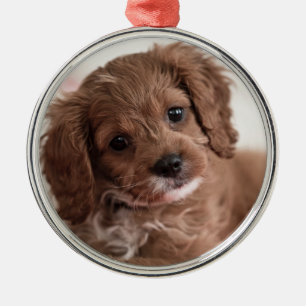 Ruby Cavapoo Puppy Dog Metal Tree Decoration